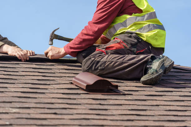 Best Roof Gutter Cleaning  in Lukachukai, AZ