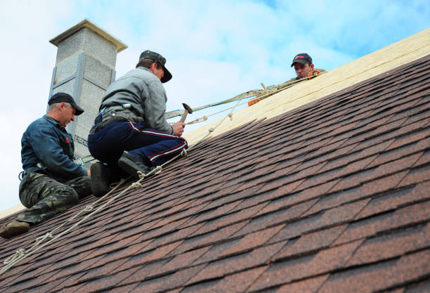 Best Roof Maintenance Services  in Lukachukai, AZ